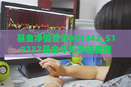 基金净值查询001342_519727基金今天净值查询  第1张