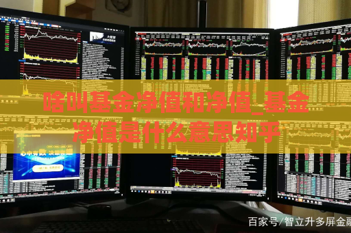 啥叫基金净值和净值_基金净值是什么意思知乎  第1张