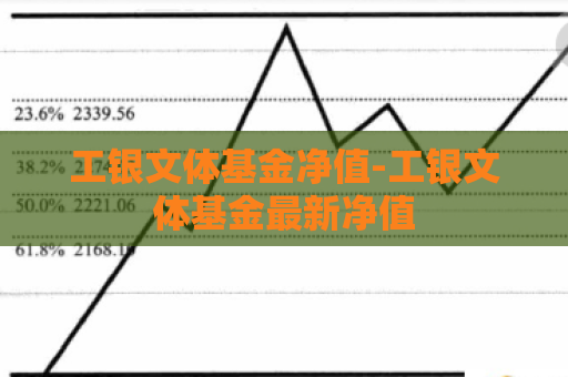 工银文体基金净值-工银文体基金最新净值  第1张