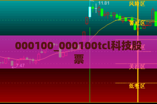 000100_000100tcl科技股票  第1张