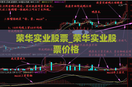 荣华实业股票_荣华实业股票价格  第1张