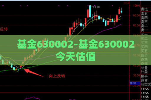 基金630002-基金630002今天估值  第1张