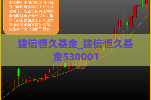 建信恒久基金_建信恒久基金530001  第1张