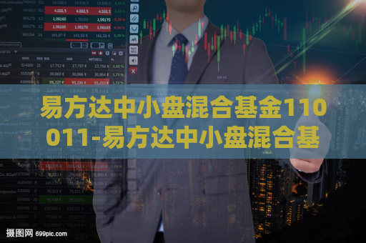 易方达中小盘混合基金110011-易方达中小盘混合基金110011股票买卖行为