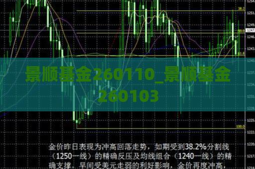 景顺基金260110_景顺基金260103  第1张