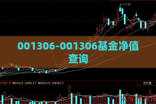 001306-001306基金净值查询