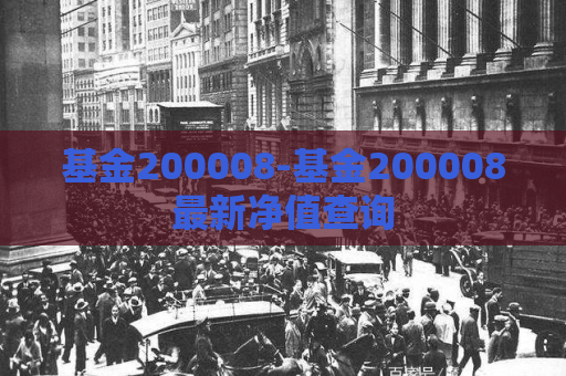 基金200008-基金200008最新净值查询  第1张