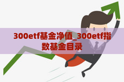 300etf基金净值_300etf指数基金目录  第1张