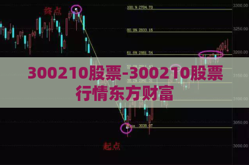 300210股票-300210股票行情东方财富  第1张