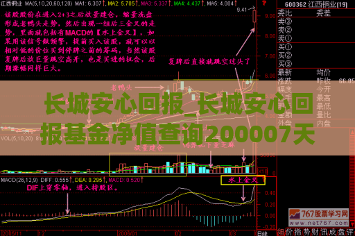 长城安心回报_长城安心回报基金净值查询200007天天  第1张