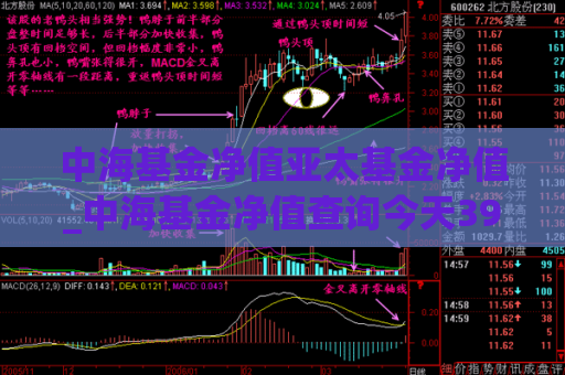 中海基金净值亚太基金净值_中海基金净值查询今天398012  第1张