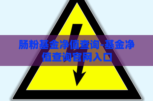 肠粉基金净值查询-基金净值查询官网入口  第1张