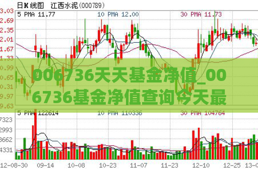 006736天天基金净值_006736基金净值查询今天最新净值  第1张