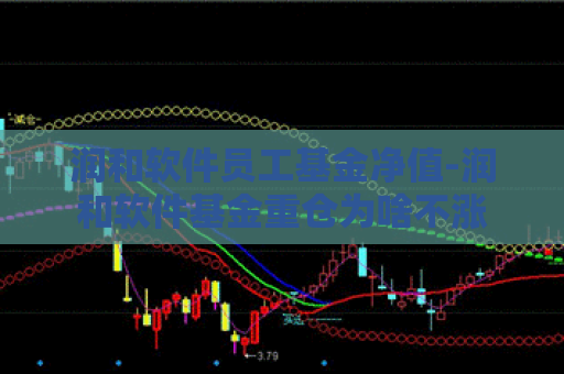 润和软件员工基金净值-润和软件基金重仓为啥不涨  第1张