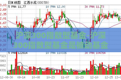 沪深300指数型基金-沪深300指数型基金是被动基金吗  第1张