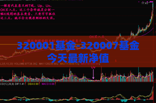 320001基金-320007基金今天最新净值  第1张