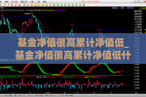 基金净值很高累计净值低_基金净值很高累计净值低什么意思  第1张