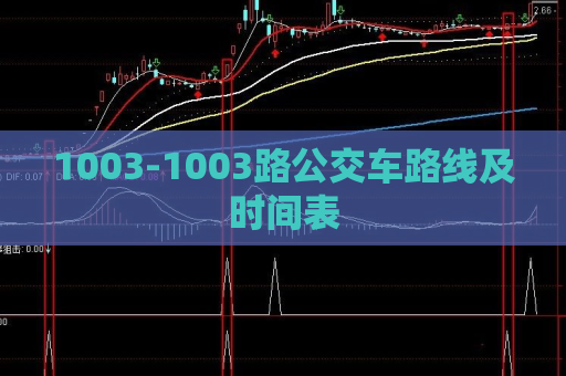 1003-1003路公交车路线及时间表  第1张