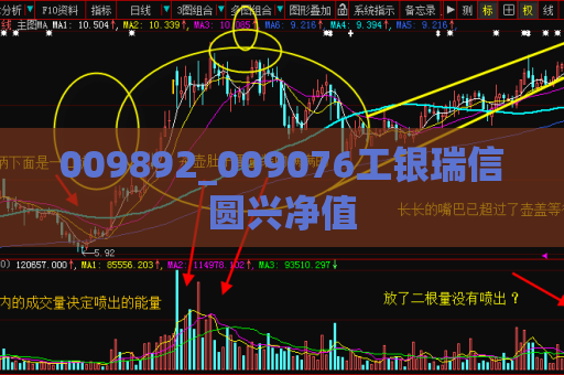 009892_009076工银瑞信圆兴净值  第1张