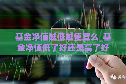 基金净值越低越便宜么_基金净值低了好还是高了好  第1张