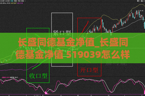 长盛同德基金净值_长盛同德基金净值 519039怎么样  第1张