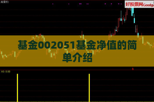 基金002051基金净值的简单介绍  第1张