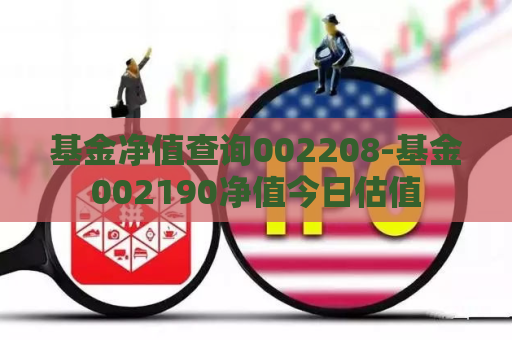 基金净值查询002208-基金002190净值今日估值  第1张