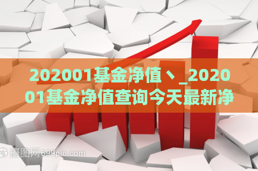 202001基金净值丶_202001基金净值查询今天最新净值  第1张