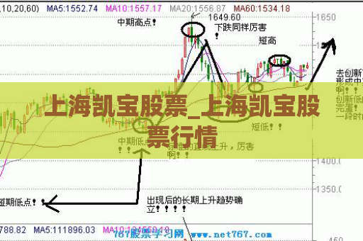 上海凯宝股票_上海凯宝股票行情  第1张