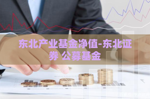 东北产业基金净值-东北证券 公募基金  第1张