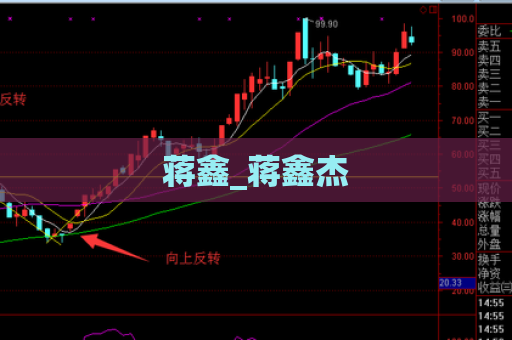 蒋鑫_蒋鑫杰  第1张