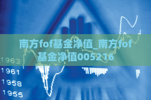 南方fof基金净值_南方fof基金净值005216