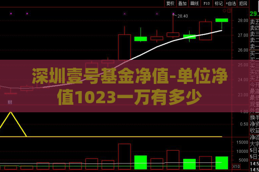 深圳壹号基金净值-单位净值1023一万有多少