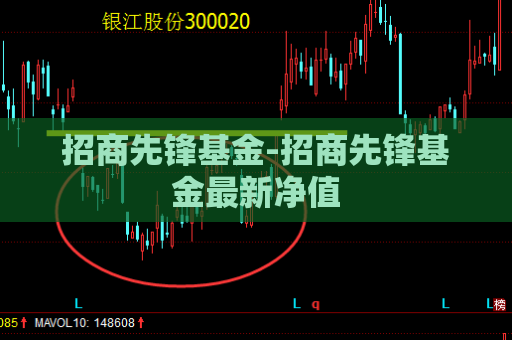 招商先锋基金-招商先锋基金最新净值  第1张