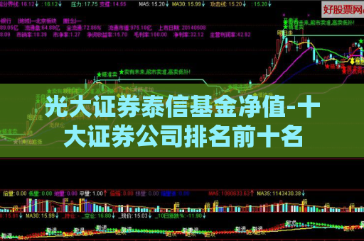 光大证券泰信基金净值-十大证券公司排名前十名  第1张