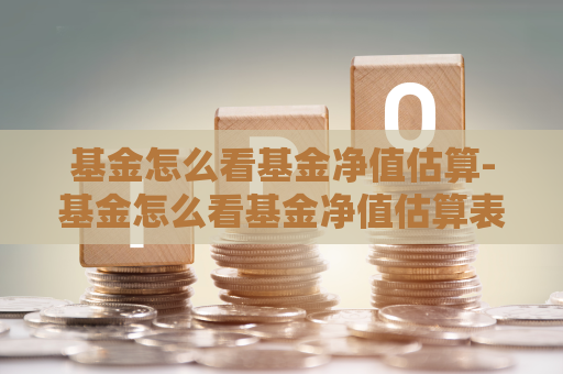 基金怎么看基金净值估算-基金怎么看基金净值估算表  第1张