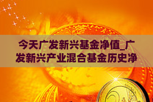 今天广发新兴基金净值_广发新兴产业混合基金历史净值查询  第1张