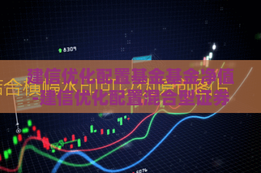 建信优化配置基金基金净值-建信优化配置混合型证券投资基金  第1张