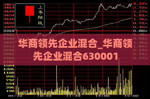 华商领先企业混合_华商领先企业混合630001  第1张