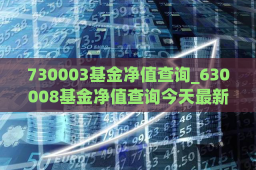 730003基金净值查询_630008基金净值查询今天最新净值