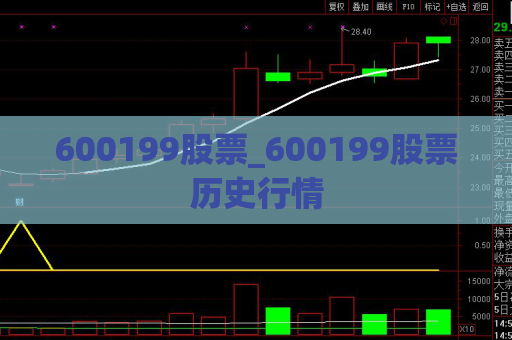 600199股票_600199股票历史行情  第1张