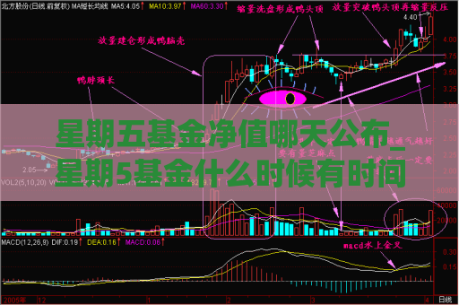 星期五基金净值哪天公布_星期5基金什么时候有时间收益