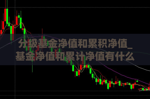 分级基金净值和累积净值_基金净值和累计净值有什么区别  第1张