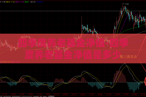 四季度养老基金净值-四季度养老基金净值是多少  第1张