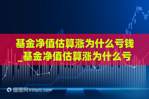 基金净值估算涨为什么亏钱_基金净值估算涨为什么亏钱不涨