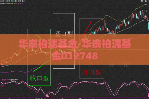 华泰柏瑞基金-华泰柏瑞基金012748