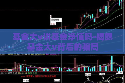 基金大v讲基金净值吗-揭露基金大v背后的骗局  第1张