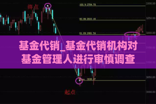 基金代销_基金代销机构对基金管理人进行审慎调查  第1张