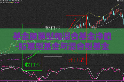 基金股票型和混合基金净值-股票型基金与混合型基金哪个收益大  第1张