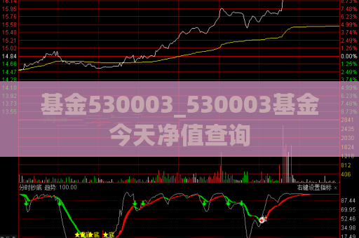 基金530003_530003基金今天净值查询  第1张